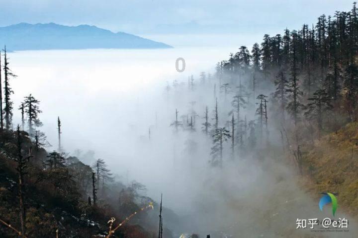 “去他的淑女,我们要岔开腿坐”